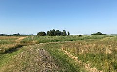 103_iP_200719_IMG_1507