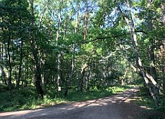 148_iP_200719_IMG_1522