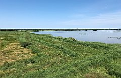 241_iP_200719_IMG_1564