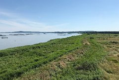 246_iP_200719_IMG_1569