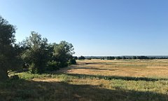 068_iP_200813_IMG_1599