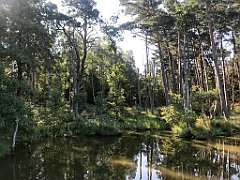 113_iP_200813_IMG_1605