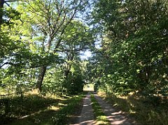 445_iP_200813_IMG_1703