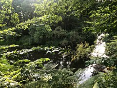 008_iP_200819_IMG_1710