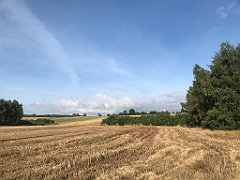 120_iP_200819_IMG_1734