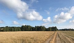 127_iP_200819_IMG_1741