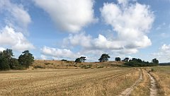 163_iP_200819_IMG_1752