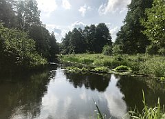 220_iP_200819_IMG_1761