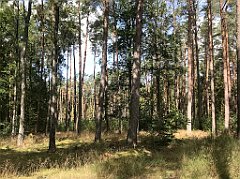 257_iP_200819_IMG_1781