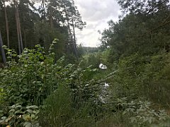 268_iP_200819_IMG_1785