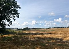 301_iP_200819_IMG_1790