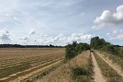 319_iP_200819_IMG_1796