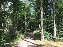 379_iP_200819_IMG_1832