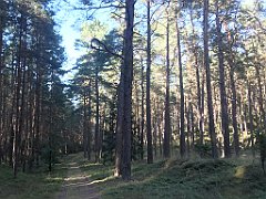 458_iP_200819_IMG_1850