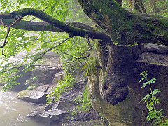 2020_06_21_Sine_Wiry