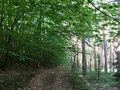 046_iP_210530_IMG_2371