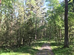 066_iP_210530_IMG_2393