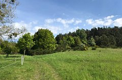 078_iP_210530_IMG_2399