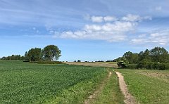 096_iP_210530_IMG_2403