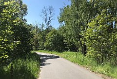 106_iP_210530_IMG_2405