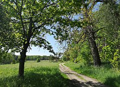 122_p20_IMG_20210530_101838