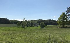 135_iP_210530_IMG_2421