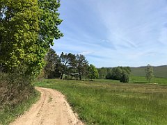 137_iP_210530_IMG_2423