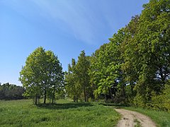 142_p20_IMG_20210530_102526