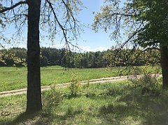 146_iP_210530_IMG_2428