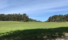 147_iP_210530_IMG_2429