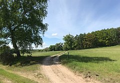 156_iP_210530_IMG_2440