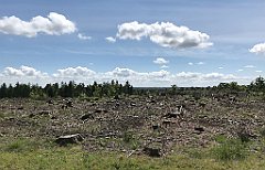 228_iP_210530_IMG_2460