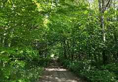 237_p20_IMG_20210530_125815