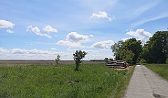 241_p20_IMG_20210530_130023