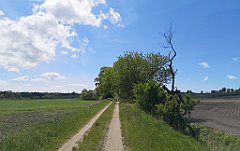 351_p20_IMG_20210530_142227