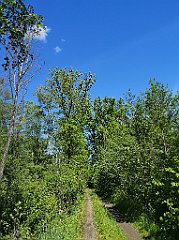 367_p20_IMG_20210530_143007