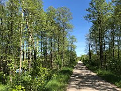 374_iP_210530_IMG_2491