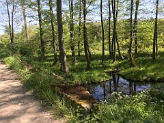 380_iP_210530_IMG_2498