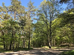 395_iP_210530_IMG_2505