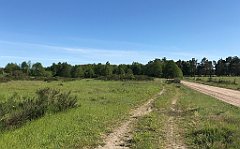 418_iP_210530_IMG_2521