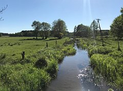 433_iP_210530_IMG_2531