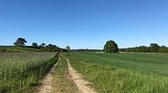 458_iP_210530_IMG_2543