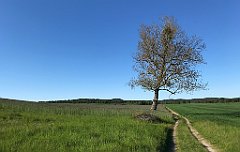 470_iP_210530_IMG_2547