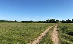 489_iP_210530_IMG_2554