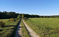 508_p20_IMG_20210530_183816