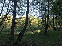 511_iP_210530_IMG_2564