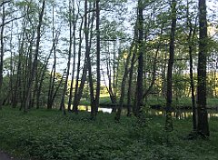 520_iP_210530_IMG_2581