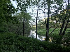 523_iP_210530_IMG_2587
