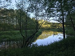 526_iP_210530_IMG_2593