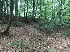 032_iP_210615_IMG_2606